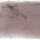 Illustration for article titled What computers see when they watch movies
